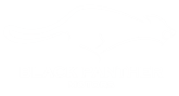 Black Panther Motors